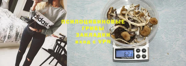 спиды Горно-Алтайск