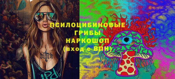 МДПВ Горняк