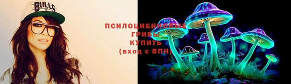 ПСИЛОЦИБИНОВЫЕ ГРИБЫ Горнозаводск