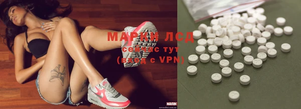 ПСИЛОЦИБИНОВЫЕ ГРИБЫ Горнозаводск