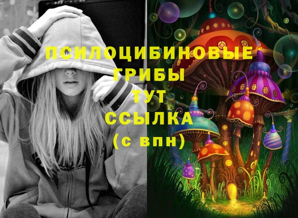 ПСИЛОЦИБИНОВЫЕ ГРИБЫ Горнозаводск