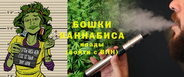 ПСИЛОЦИБИНОВЫЕ ГРИБЫ Горнозаводск