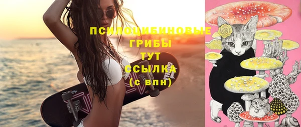 ПСИЛОЦИБИНОВЫЕ ГРИБЫ Горнозаводск