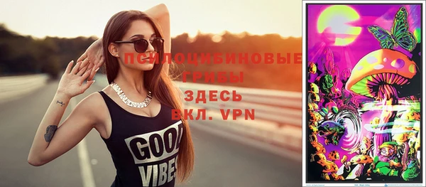 спиды Горно-Алтайск