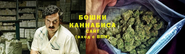 ПСИЛОЦИБИНОВЫЕ ГРИБЫ Горнозаводск