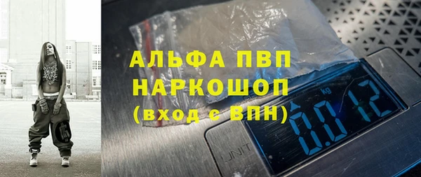 ПСИЛОЦИБИНОВЫЕ ГРИБЫ Горнозаводск