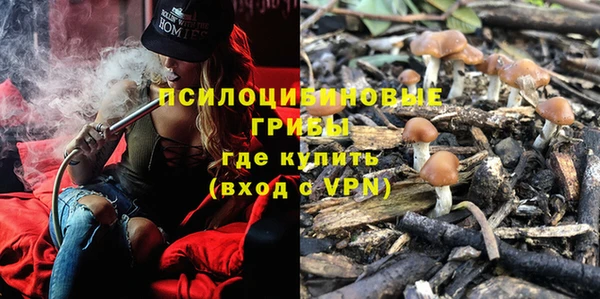 спиды Горно-Алтайск